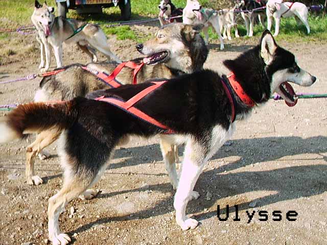 Ulysse to riders of free spirit (Sans Affixe)