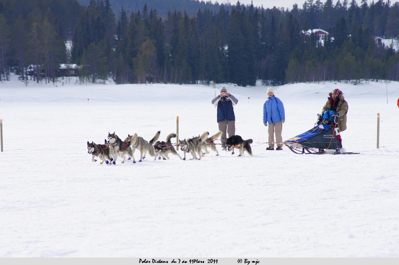 POLARDISTANS 2011