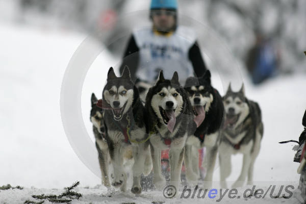 ALPEN TRAIL 2008