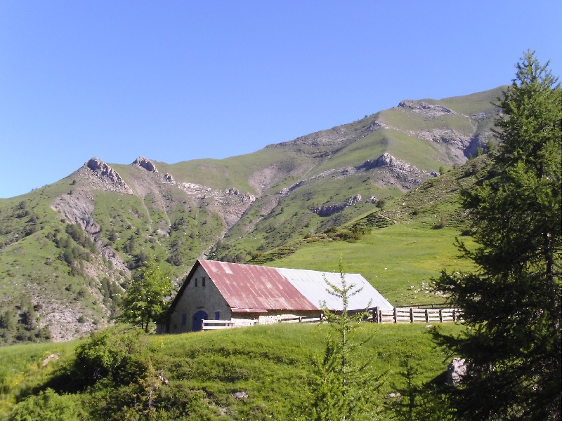 Balade à la cabane des mulets 21/06/2008