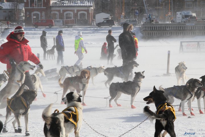 AMUNDSEN RACE 2011