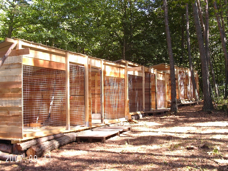 Construction des chenils